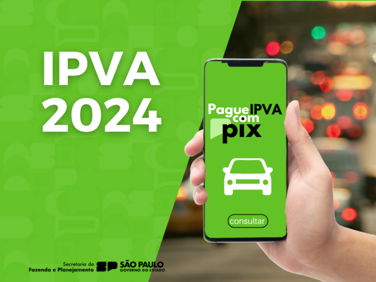 ipva 2024 - consulta